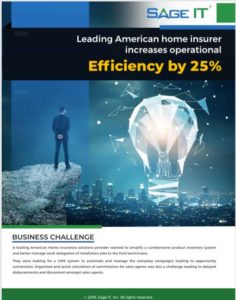 Leading American Home Insurer Increases Operational Efficiency by 25%