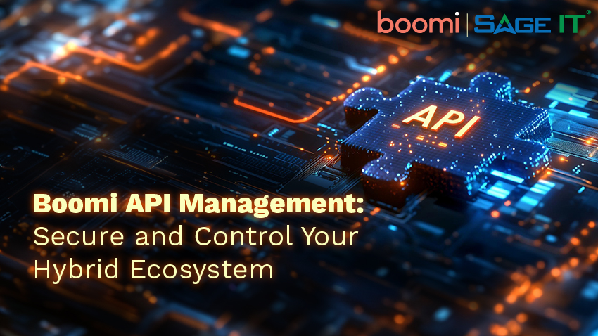 Boomi-API-Management Boomi API Management