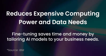 Custom Model Training & Fine-Tuning Sage IT